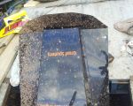 20131005_180801.jpg